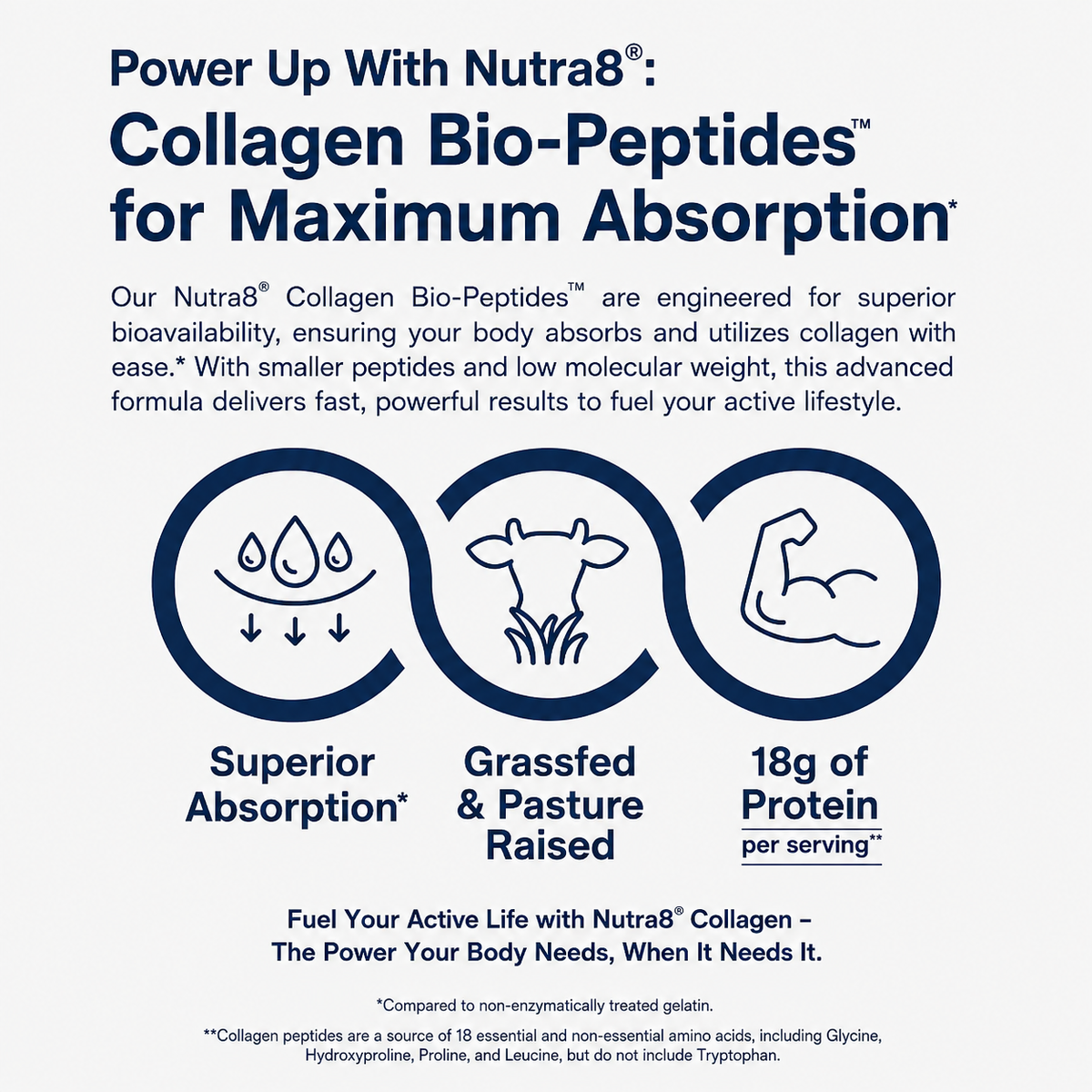 Nutra8 | Colágeno Biopéptido
