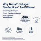 Nutra8 | Colágeno Biopéptido