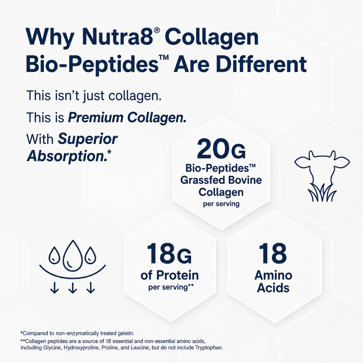 Nutra8 | Colágeno Biopéptido